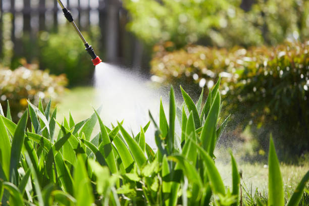 Tamper-Resistant Bait Stations for Rodents in Fruitport