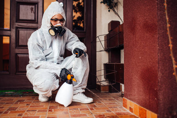 Attic and Crawl Space Rodent Treatment in Fruitport