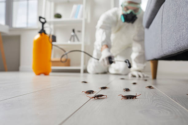 Commercial Rodent Management in Fruitport